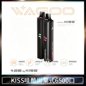 KIS5WAGOO哇酷6500口拋棄式 | 自由混搭雙口味 | 雙芯組合